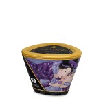 Κερί για Μασάζ Εξωτικά Φρούτα Shunga Massage Candle Exotic Fruit - 170 ml by Sexopolis