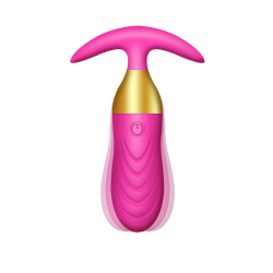 Ασύρματη Δονούμενη Σφήνα Σιλικόνης Finn 10 Function Remote Controlled Silicone Vibrating Butt Plug - Ροζ